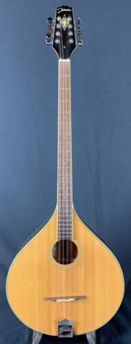 Irish Bouzouki